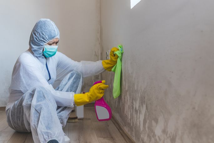Mold Removal